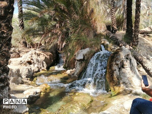 طبیعت هرگز تکراری و خسته‌کننده نمی‌شود