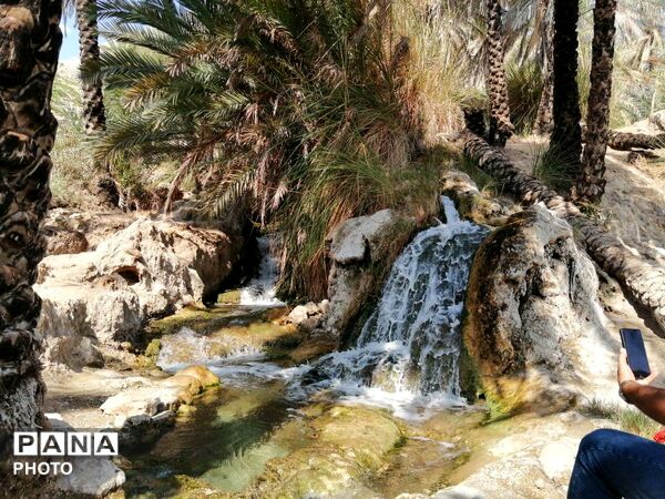 طبیعت هرگز تکراری و خسته‌کننده نمی‌شود