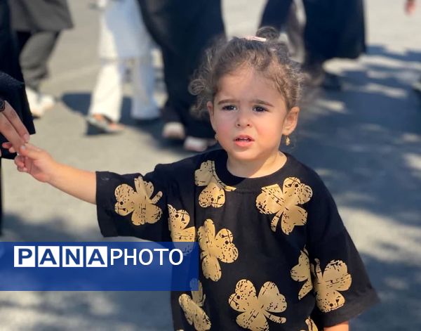 اربعین حسینی در شهرستان کاشمر 