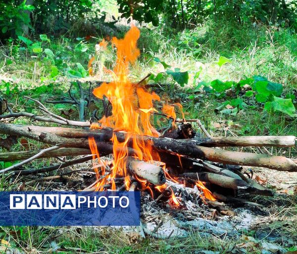 مارکده، سرزمین طلایی بادام و گردو؛ گنجینه‌ای از طعم و سنت در دل سامان