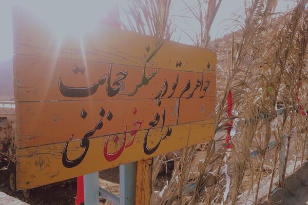 راهیان نور، زائران دیار عشق و حماسه