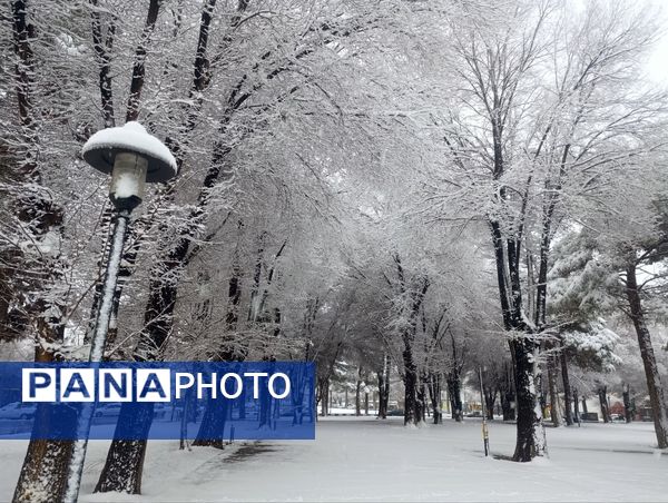 سفید مثل برف