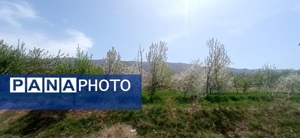 طبیعت بی نظیر روستا سربالا بهترین گزینه برای طبیعتگردی در فصل بهار