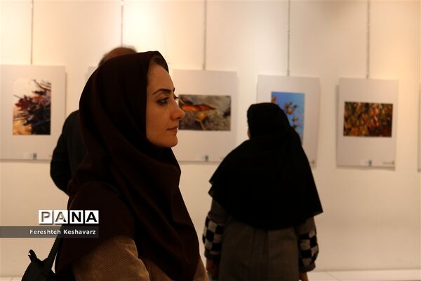 برگزاری نمایشگاه  عصر پاییزی در شیراز