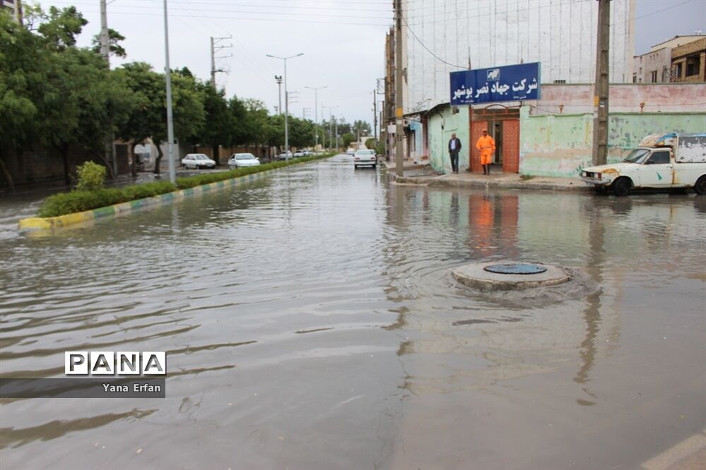 بارندگی امروز در بوشهر