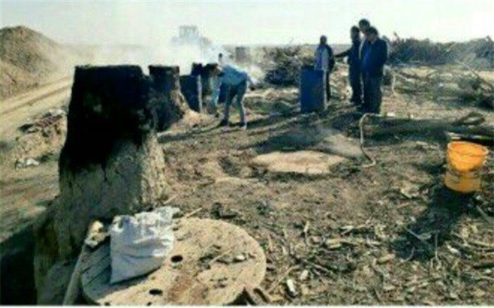 تخریب و جمع‌آوری ۱۰۰ کوره غیرمجاز زغال گیری در ری