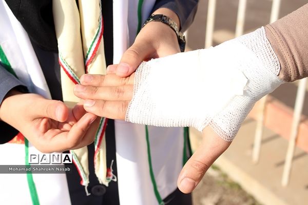 همایش تخصصی پیشتازان سازمان دانش‌آموزی ناحیه یک اهواز