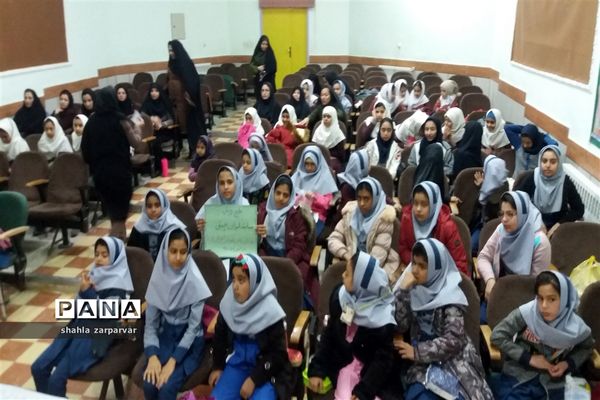 برگزاری  المپیاد بازی‌های فکری، سرگرمی رویش در نی ریز