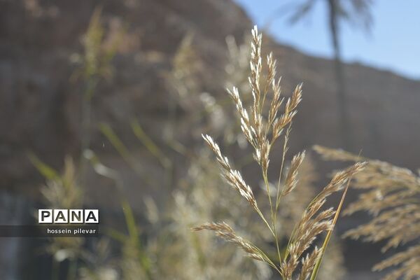 مکان‌های گردشگری روستای ازمیغان در شهرستان طبس