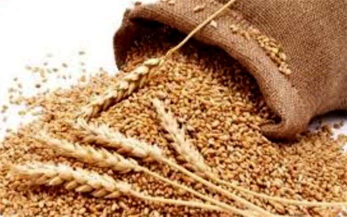 رشد 65 درصدی پرداخت زکات در ابرکوه