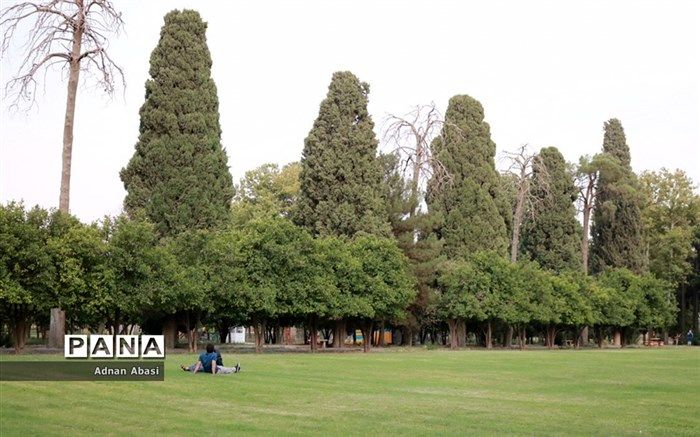 باغ چیذر با همکاری ستاد اجرایی فرمان امام بوستان می‌شود
