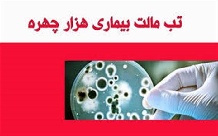 کاهش 50 درصدی مبتلایان به تب مالت در ابرکوه