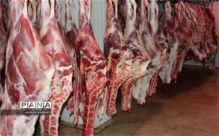 اتاق پیش سرد کشتارگاه شهرداری اردکان به بهره برداری رسید