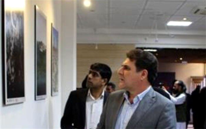 معاون سیاسی اجتماعی استاندار: زبان هنر موثرترین شیوه در معرفی سیستان و بلوچستان است