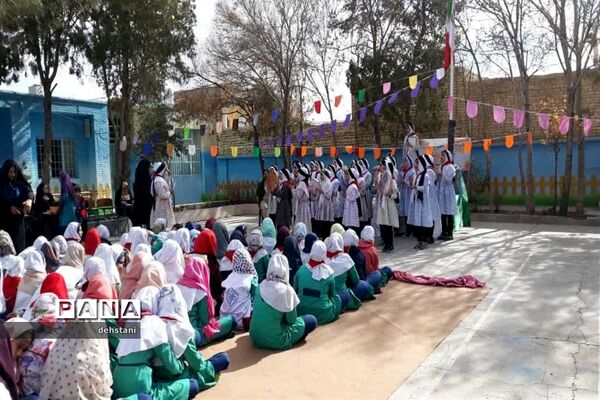 جشن میلاد حضرت زینب در دبستان حضرت زینب هرات