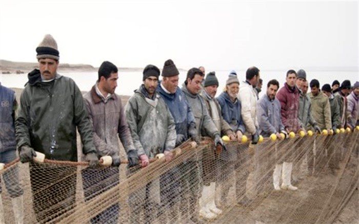 ممنوعیت صید تجاری ماهیان خاویاری دریای خزر تا پایان سال ۲۰۲۰