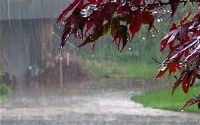 یزد بارانی می‌شود