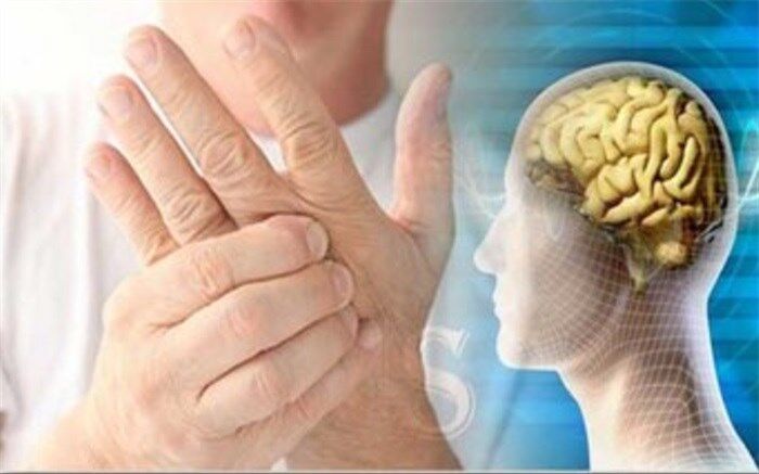 پروبیوتیک بخورید تا MS نگیرید