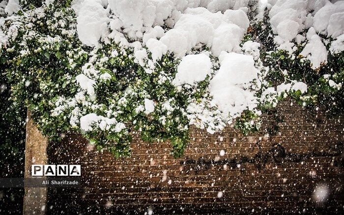 برف و سرما در راه مازندران