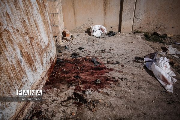 سقوط هواپیمای اوکراینی