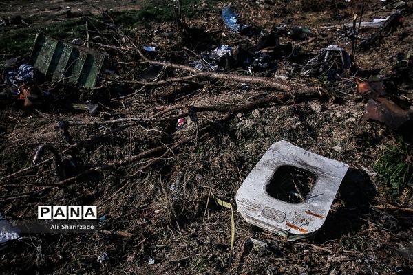 سقوط هواپیمای اوکراینی