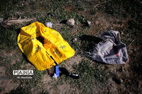 سقوط هواپیمای اوکراینی