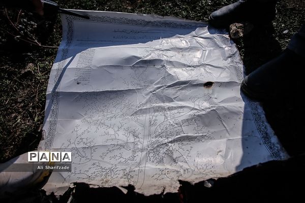 سقوط هواپیمای اوکراینی