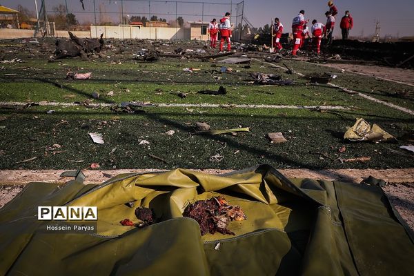 سقوط هواپیمای اوکراینی