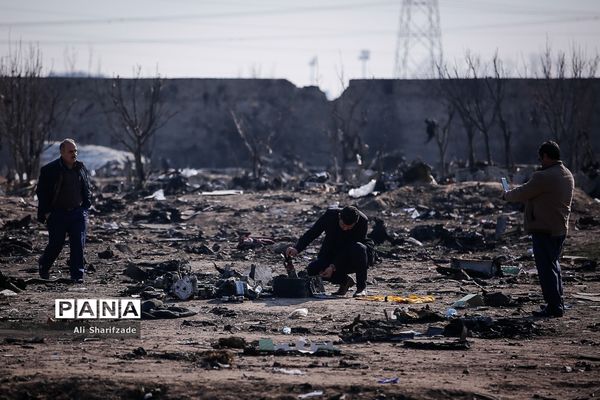 سقوط هواپیمای اوکراینی