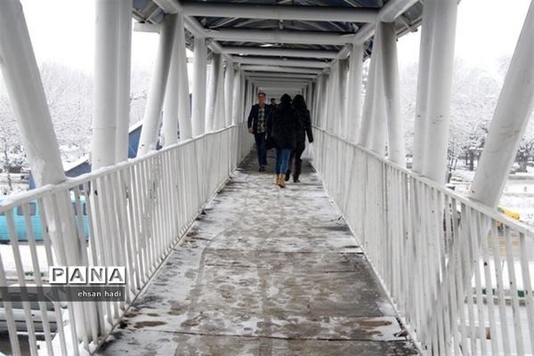 مشهد سفید پوش شد