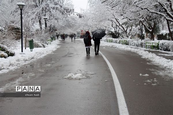 مشهد سفید پوش شد