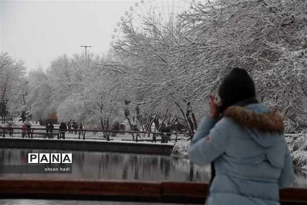 مشهد سفید پوش شد