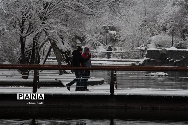 مشهد سفید پوش شد