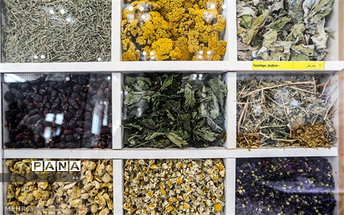 اجرای ۵ طرح تولید داروهای گیاهی نیازمند به ۶۰۰ میلیون اعتبار است