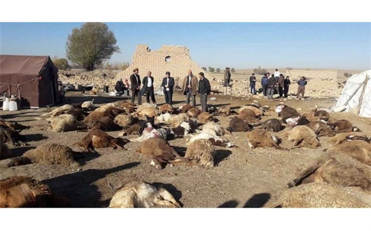 خسارت ۱۸۰ میلیارد تومانی زمین‌لرزه به بخش کشاورزی میانه و سراب