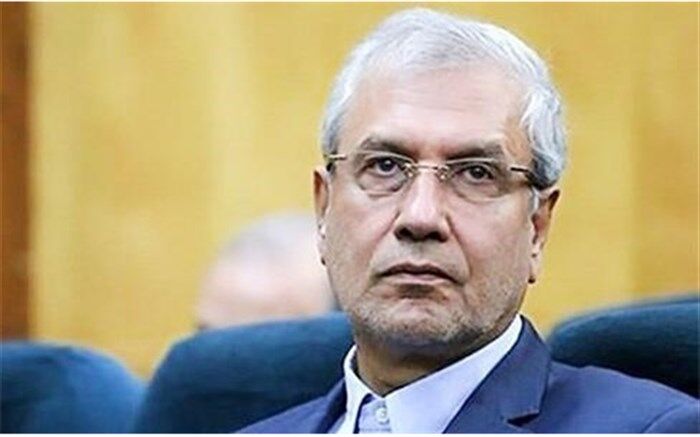 دلنوشته سخنگوی دولت در سوگ جانباختگان ایرانی سقوط هواپیمای اوکراینی