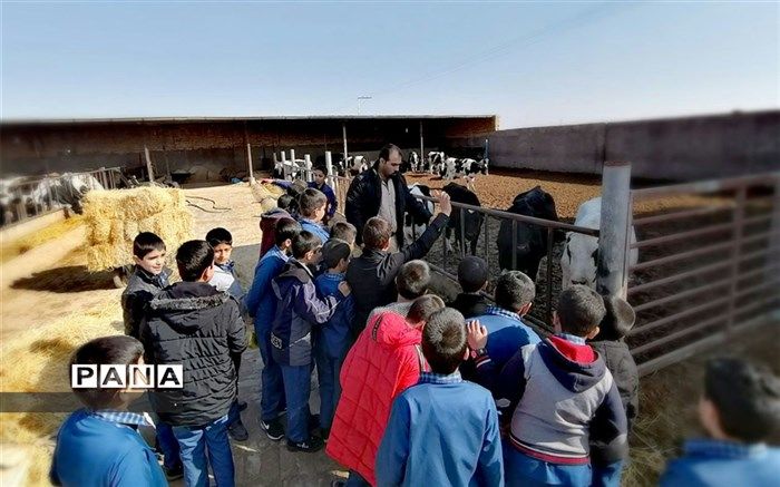 بازدید دانش آموزان کلاس پنجم دبستان حضرت قاسم از یک مجتمع دامپروری