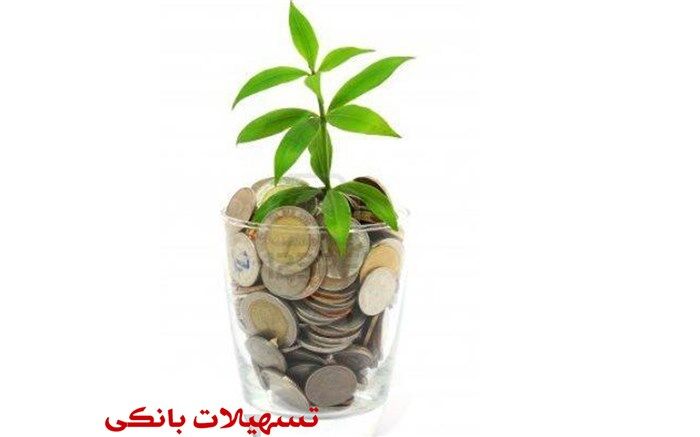 تخصیص  تسهیلات 18 درصدی به کسب و کار فرهنگی و هنری