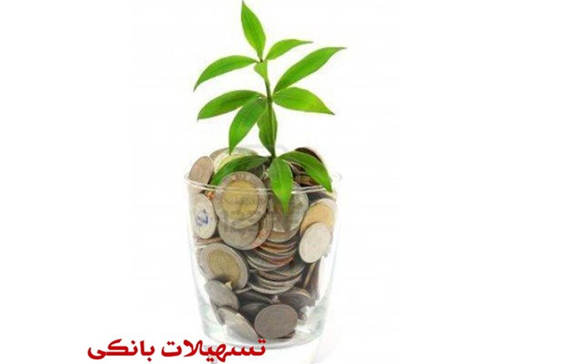 تخصیص  تسهیلات 18 درصدی به کسب و کار فرهنگی و هنری