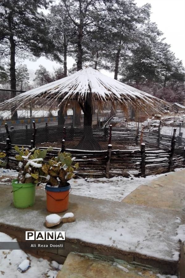 بارش نخستین برف زمستانی در شیراز