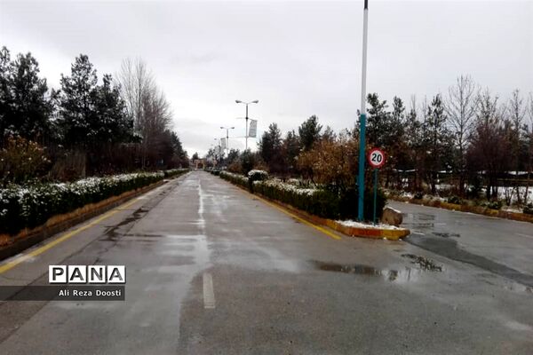 بارش نخستین برف زمستانی در شیراز