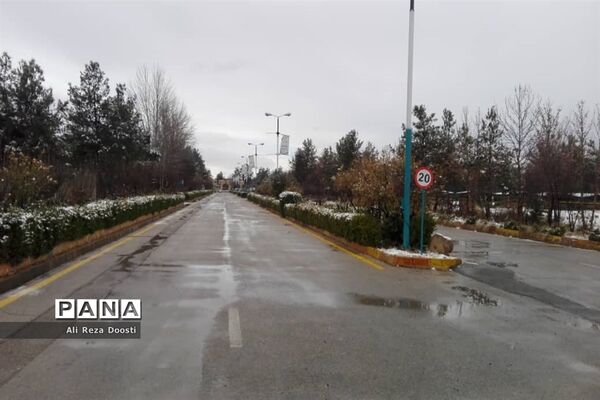 بارش نخستین برف زمستانی در شیراز