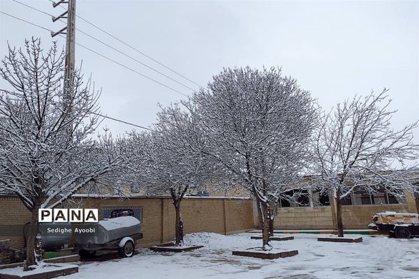 بازی کودکانه دانش‌آموزان منطقه ارژن در شادی بارش برف