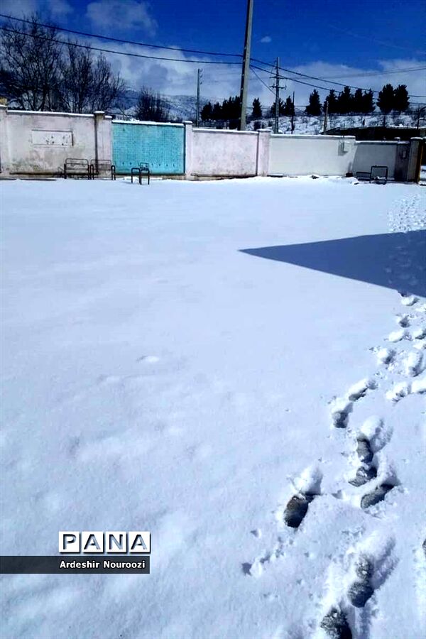 بازی کودکانه دانش‌آموزان منطقه ارژن در شادی بارش برف
