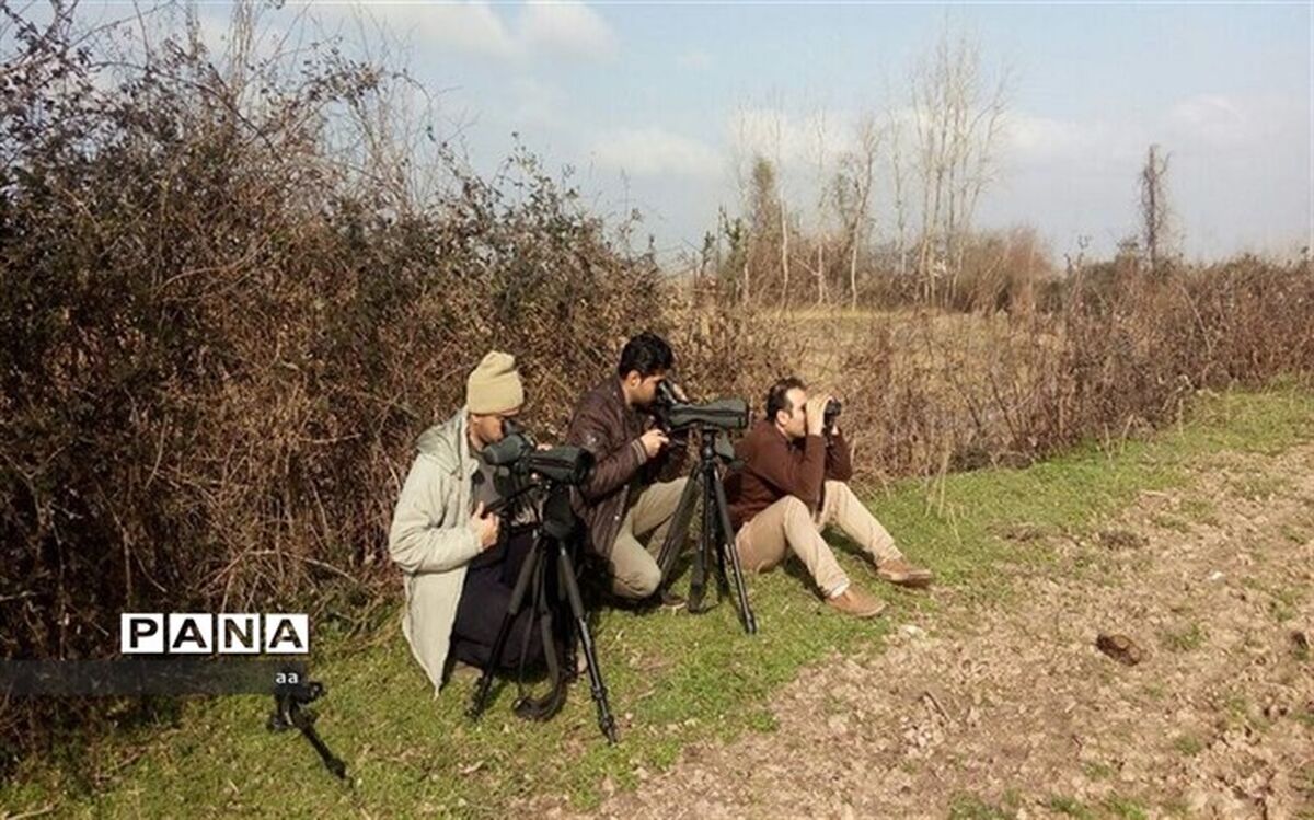 سرشماری پرندگان در پلدختر انجام شد
