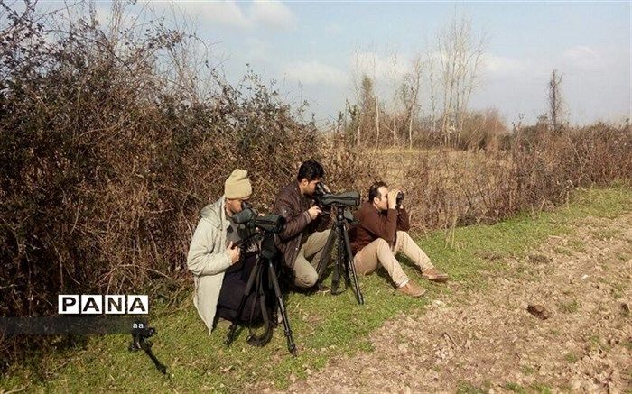 سرشماری پرندگان در پلدختر انجام شد