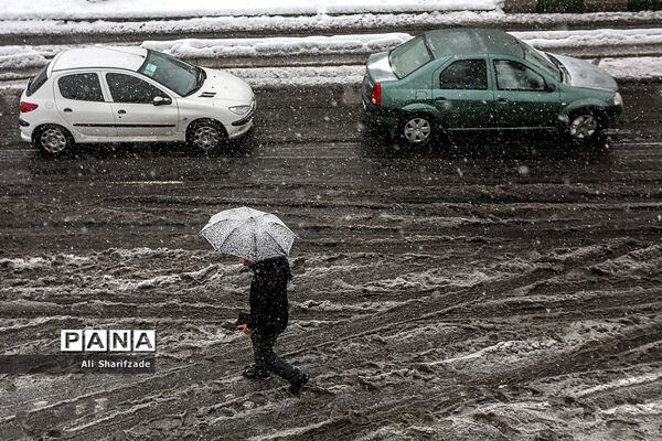بارش برف زمستانی در تهران