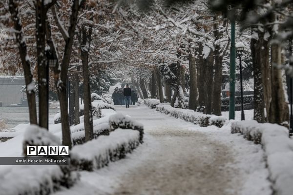 بارش برف در ارومیه
