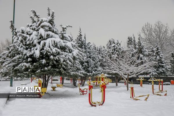 بارش برف در ارومیه