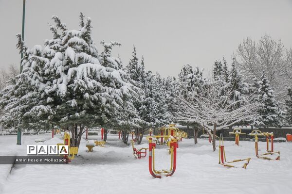 بارش برف در ارومیه